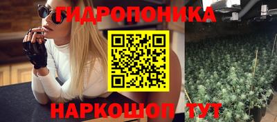 трава Абакан