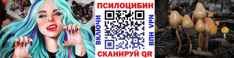 Галлюциногенные грибы ЛСД  как найти   Медногорск 