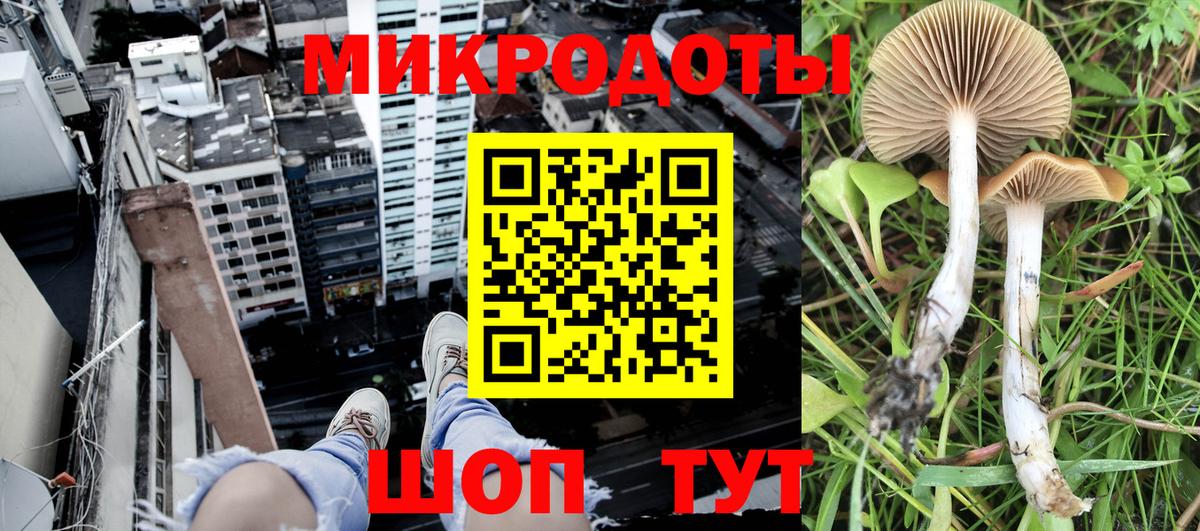 Галлюциногенные грибы Cubensis Медногорск