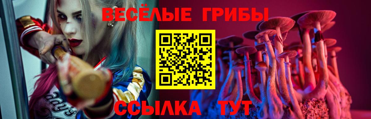 Псилоцибиновые грибы мухоморы Медногорск